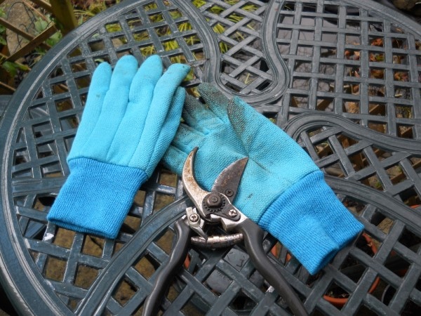 How to Clean Gardening Gloves