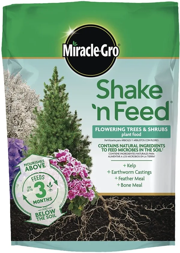 Miracle Gro Shake N Feed Shrubs and Flowering Trees Evergreen Fertilizer Best Evergreen Fertilizer