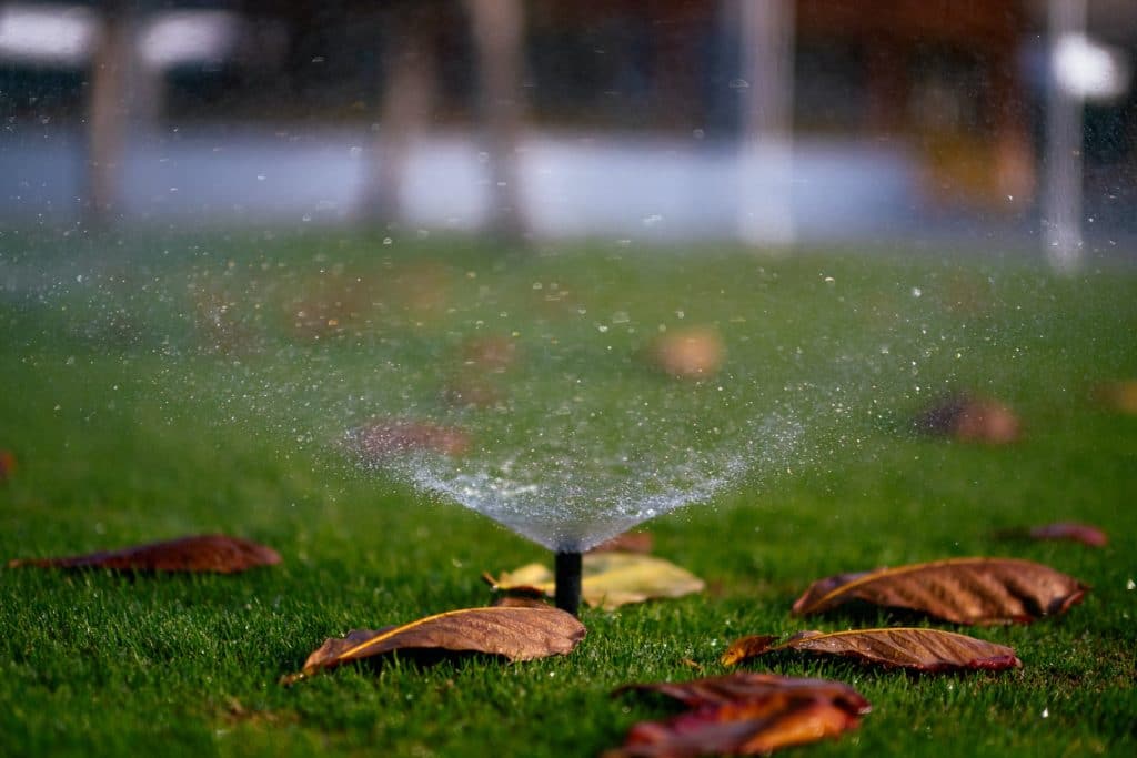 Sprinkler in center of a garden. - Best Way to Water Grass Without a Sprinkler System.