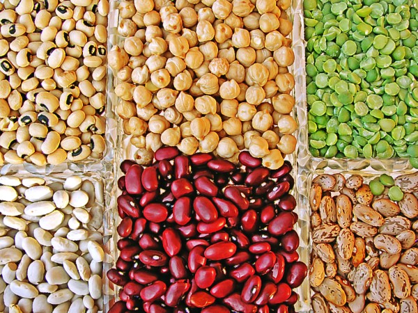 Why Don't Legumes Need Nitrogen Containing Fertilizers