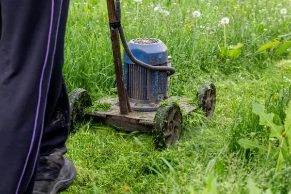 Why Is My Lawn Mower Spitting Out Grass 2