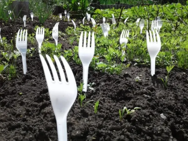 Why Put Plastic Forks In Garden
