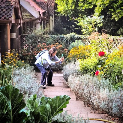 Easy Ways To Improve Your Garden Photography 2