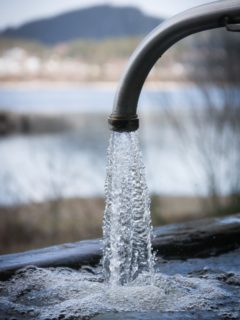Hard water coming out of tap. - What Is Soft Water and How to Soften Hard Water for Plants?