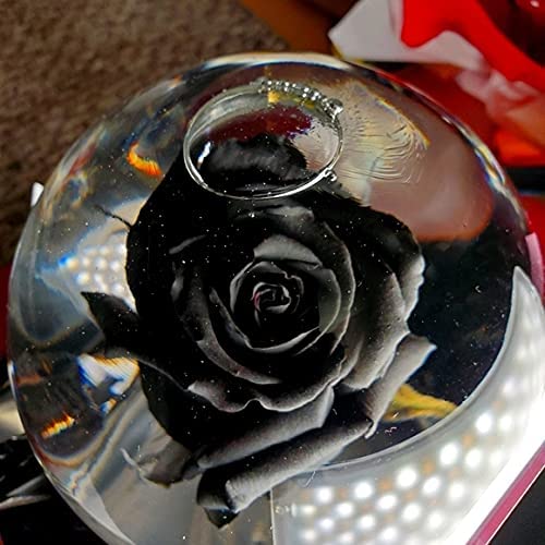 How to Care for Rose in Water Globe 2