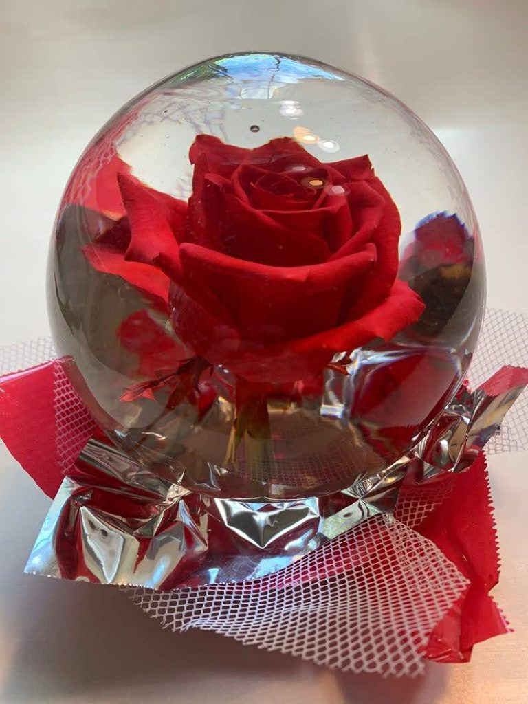 How to Care for Rose in Water Globe