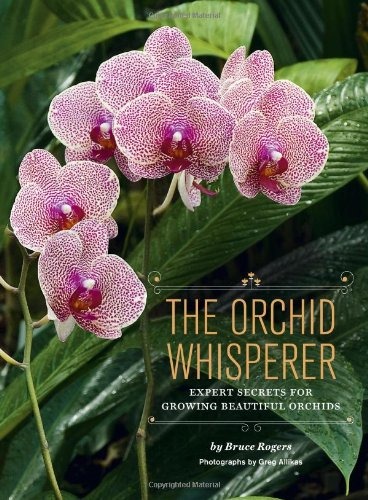The Orchid Whisperer Expert Growing Beautiful Orchid Book Secrets by Bruce Rogers Best Orchid Books