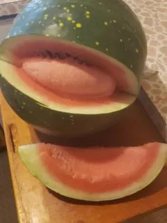Why Is My Watermelon Pink Inside