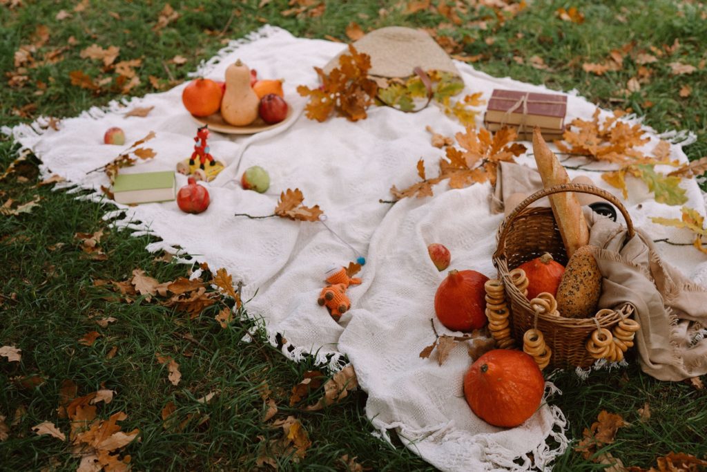 Autumn composition with assorted pumpkins and bread in basket placed on plaid on grassy lawn—how to grow Red Kuri squash?