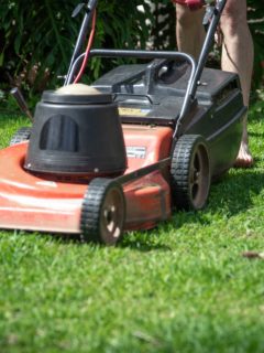 Lawn mower on grass—keep your lawn green in the summer heat.