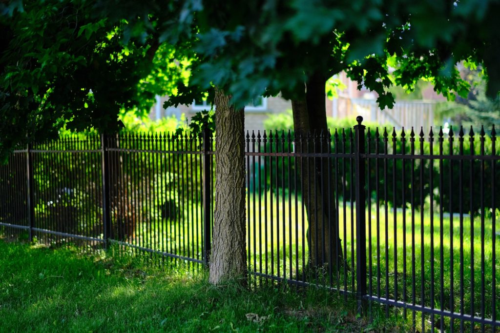 A fence in a garden—how to cut grass near a fence?