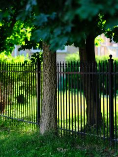 A fence in a garden—how to cut grass near a fence?