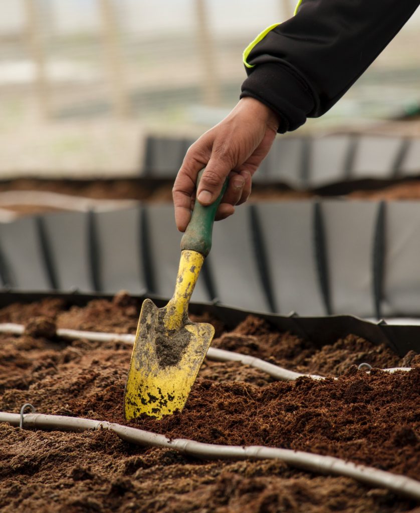Person holding yellow trowel—how to fix anaerobic soil?