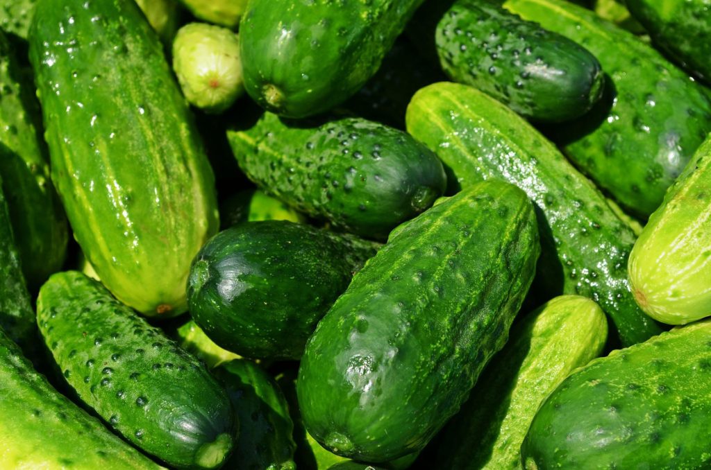 Picture of green cucumbers—how to grow green garden cucumbers?