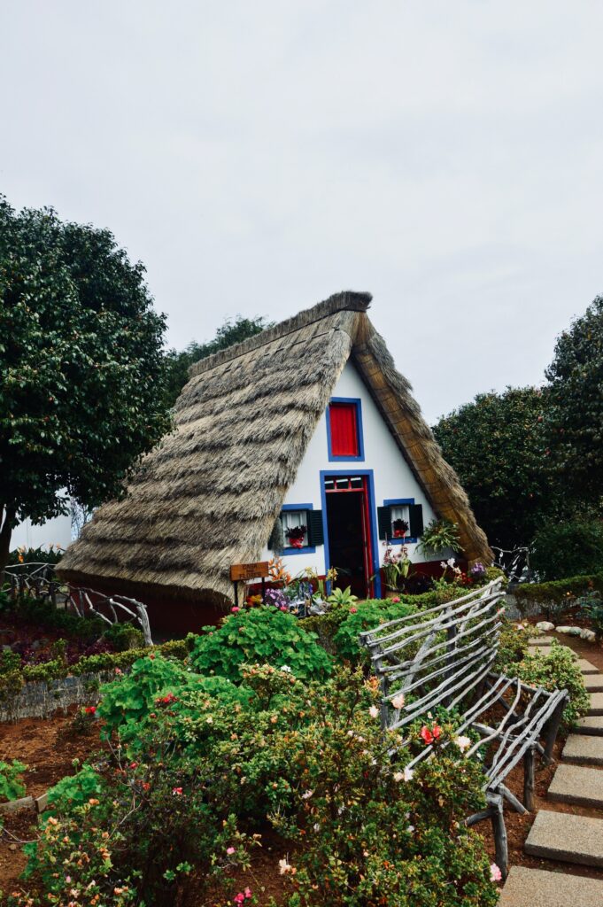 A house with a lawn—conserve water in your garden.