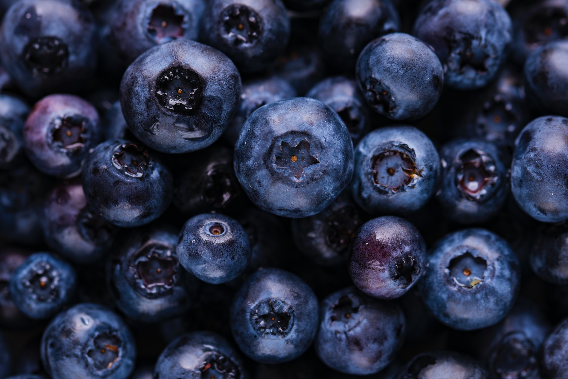 Why Are Blueberries So Expensive? 3 Conclusive Reasons!