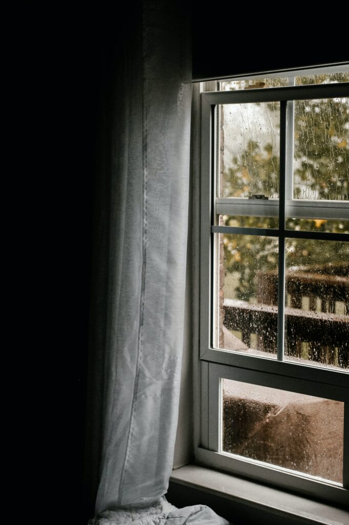 Window in rain—how to get rid of bugs attracted to light?