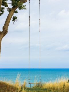 Wooden swing overlooking the calm sea—how to hang a rope swing from a tall tree?