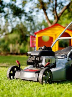A man with a lawn mower—when can I mow after overseeding?