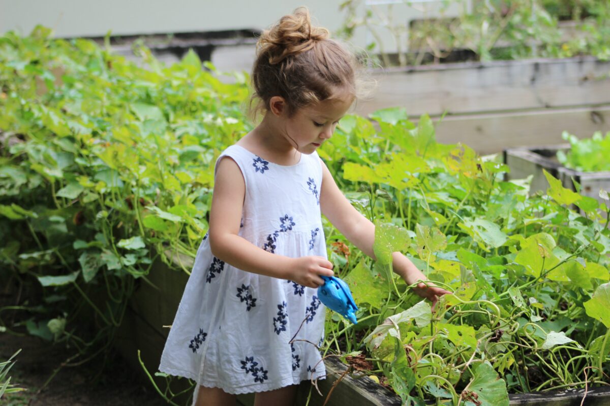 what-to-do-if-there-is-asbestos-in-your-garden-grow-gardener-blog