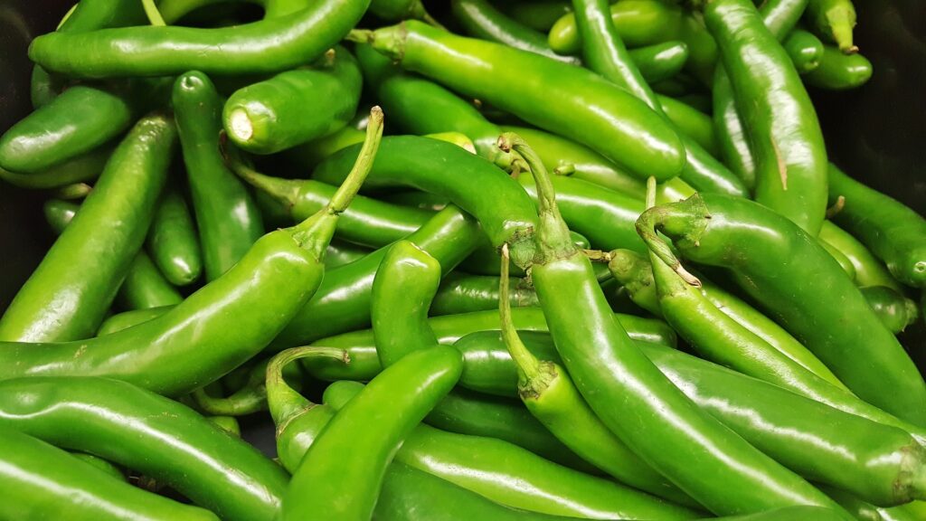 Green serrano peppers—when are serrano peppers ready to pick?