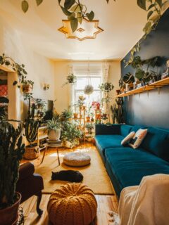 A-room-embellished-with-indoor-plants—why-aren't-my-indoor-plants-growing?
