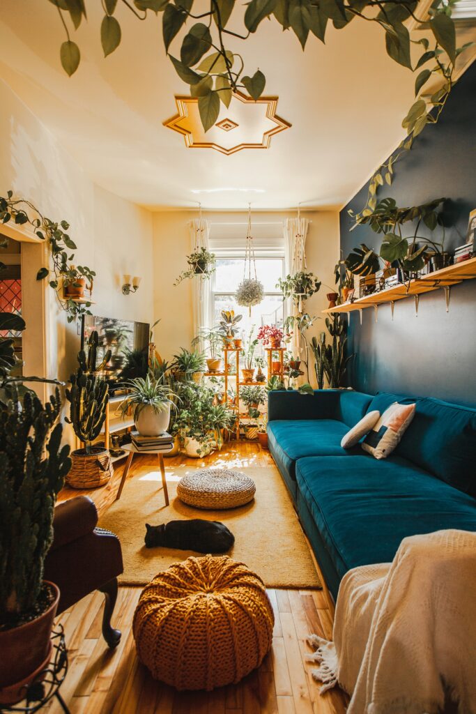 A room embellished with indoor plants—Why Aren't My Indoor Plants Growing?