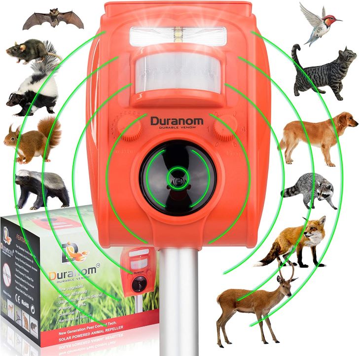 How to Protect Growing Pumpkins from Animals - DURANOM Animal Repeller with Ultrasonic and Audio Sound Outdoor Solar
