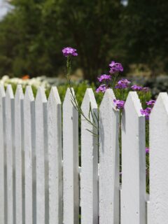 White-wooden-fence—why-are-fences-so-expensive?