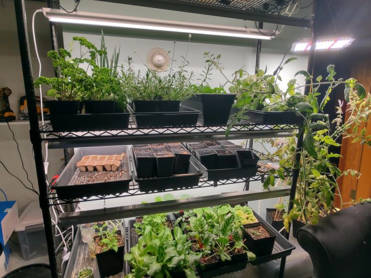 How to grow vegetables indoors without sunlight