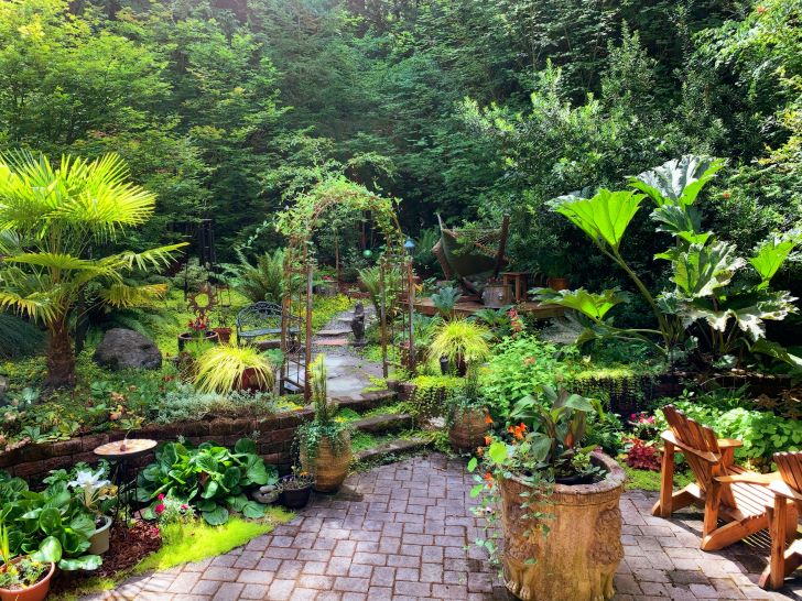 Look at this garden as the owner tried to emulate the beautiful old courtyards in Guatemala