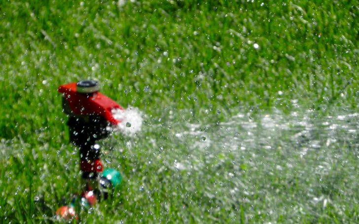 What Temperature Is Too Cold to Water Grass - Red garden sprinkler photo