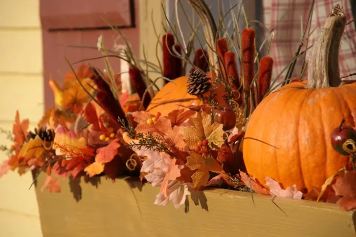 Ideas For Fall Window Boxes - Make It Halloween-Festive